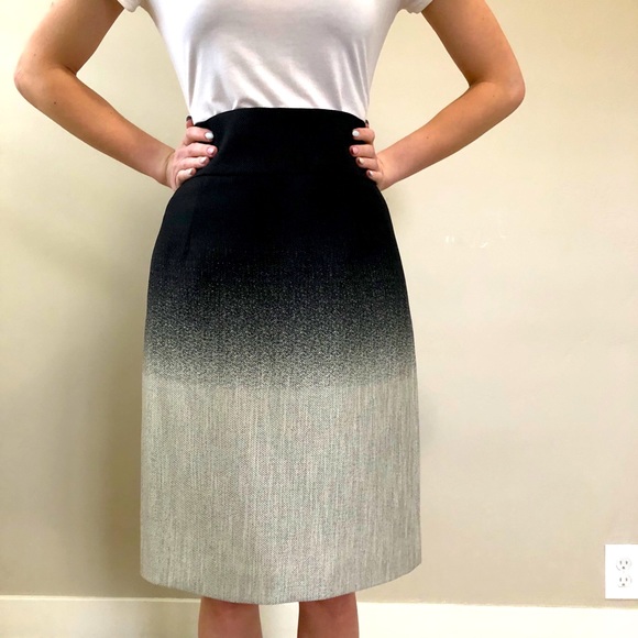 Antonio Melani Ombré skirt - Picture 1 of 5